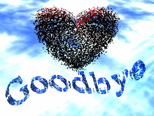 goodbye my love