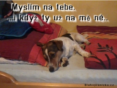 Myslím na tebe 